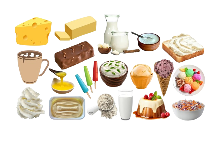 Dairy Products