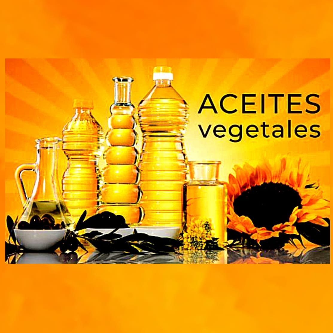 VERNEDA BODEGA CASH & CARRY