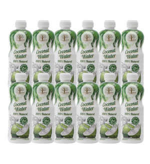 Agua De Coco Pet | 500ML×12