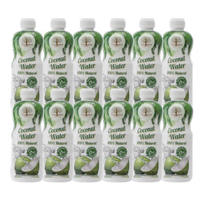 Agua De Coco Pet | 500ML×12
