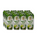 AGUA DE COCO LATA | 500ML×12