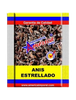 ANIS ESTRELLADO AMERICA PACK 16 X 30GR