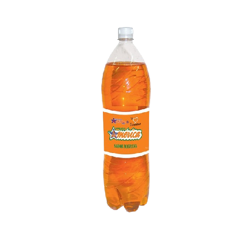 MANZANA AMERICANA 50CL 24U