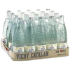 VICHY QUINTO 50CL X 24U SABOR MIXTO