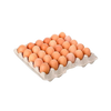 HUEVOS / OUS 30U BANDEJA 12