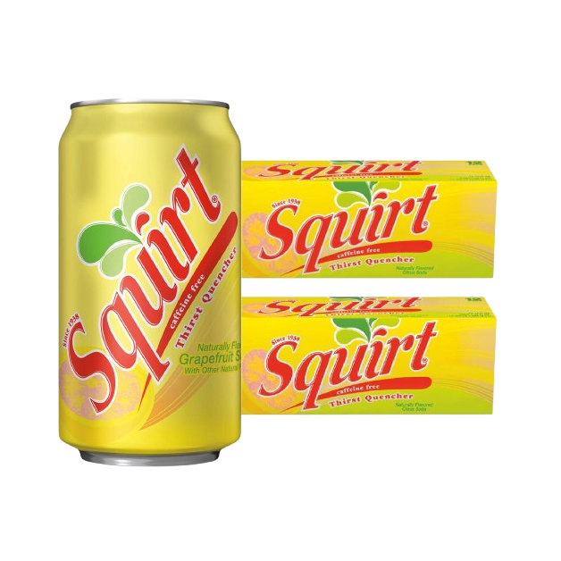 SQUIRT COCO 33CL LATA  24U