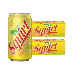 SQUIRT COCO 33CL LATA  24U