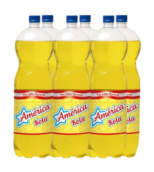 Coca americana 2L | 6 x 2L