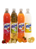 DISFRUTA DEL TROPICAL 1.5LX 6U