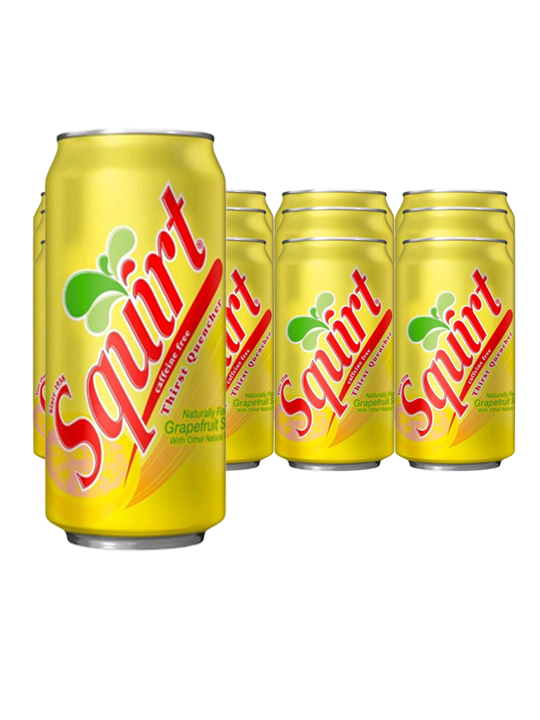 SQUIRT GUAYABA 33CL LATA  24U